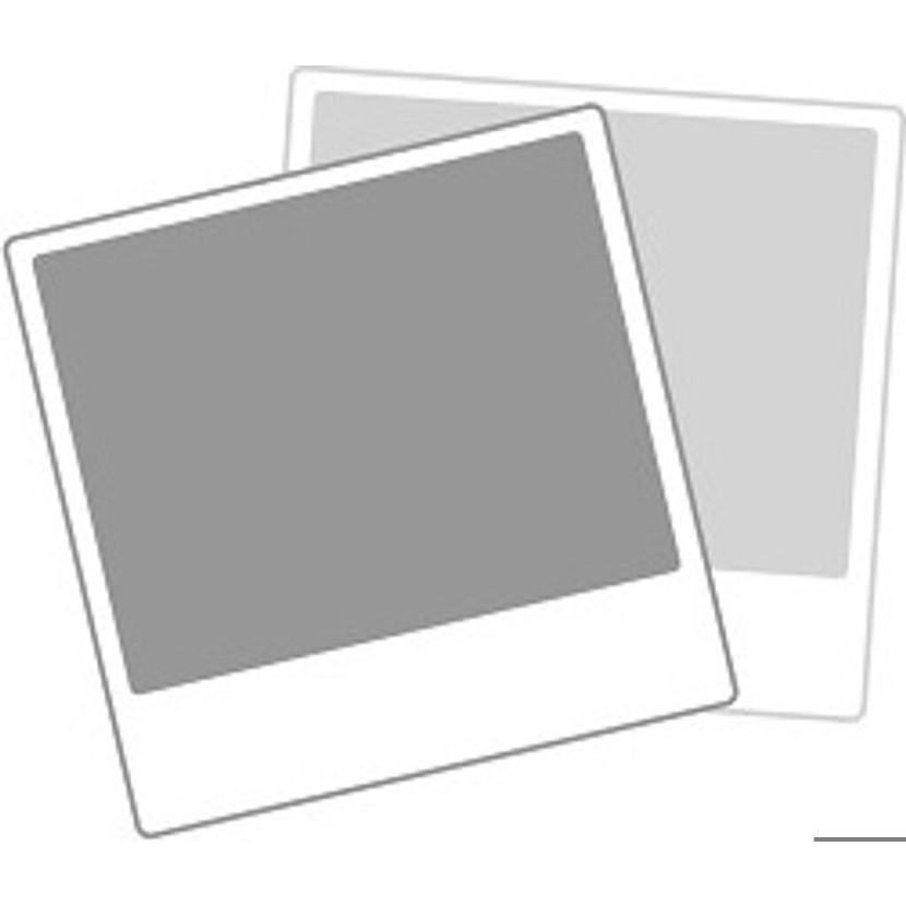 NOHrD TriaTrainer - Bauch- und Rückentrainer aus Kirschholz mit Synthetikleder