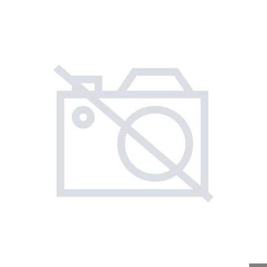 BAN700 Bandspanner - Robuste Spannbandlösung für sicheres Verzurren